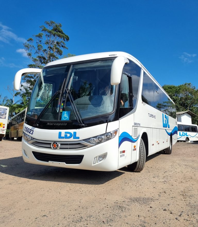 Imagem do WhatsApp de 2024-10-31 à(s) 22.28.35_52eb5ccd