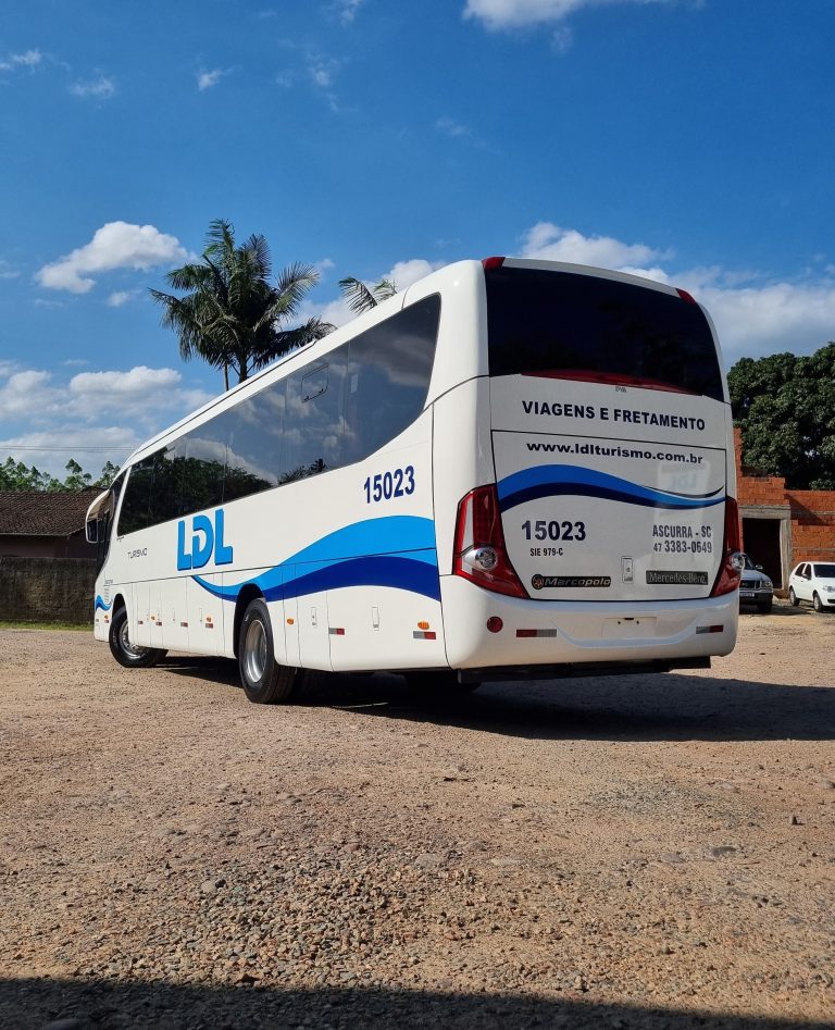 Imagem do WhatsApp de 2024-10-31 à(s) 22.30.51_5ace74c3